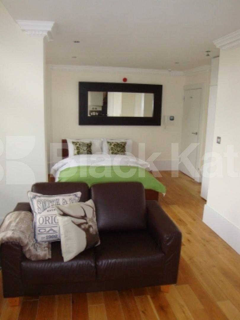 			NEW INSTRUCTION!, Studio Apartment, 1 bath, 1 reception Flat			 Fitzjohns Avenue, SWISS COTTAGE